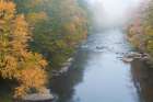 USA-West Virginia-Davis Foggy stream in Blackwater State Park Art Print